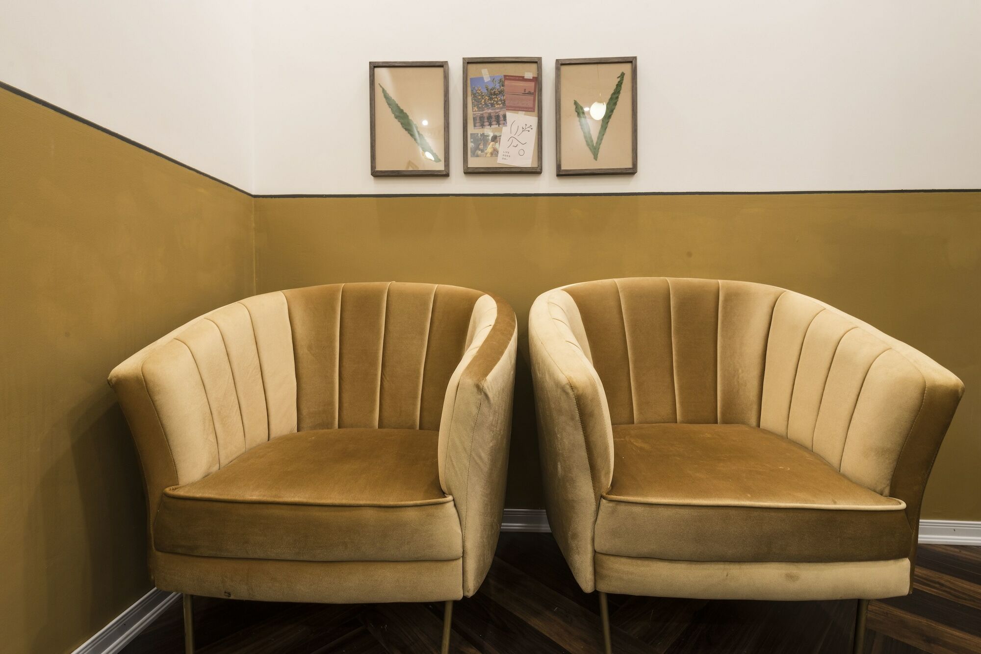 Chloe & Leo Boutique Homestay Hanoi Exterior foto